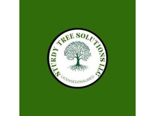 Sturdy Tree Solutions LLC Sturdy Tree Solutions LLC