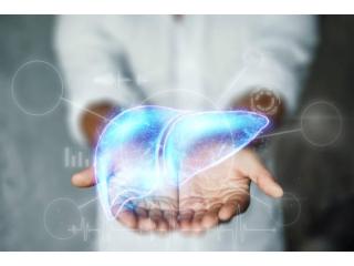 Top Liver Replacement Surgery | Maddadgar Foundation Top Liver Replacement Surgery | Maddadgar Foundation