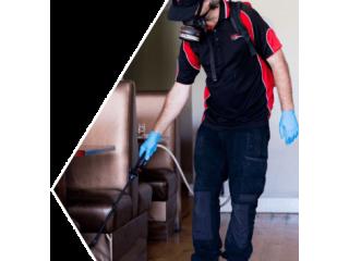 Termite Control Termite Control