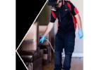 Termite Control Perth