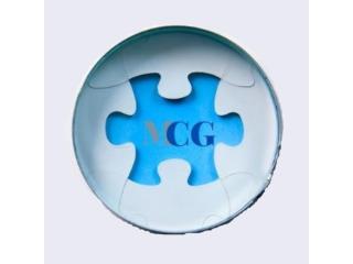 Mold Consultant Group Mold Consultant Group