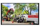 Crawford Tree & Landscape Services, Inc.