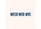 Weed Web NYC