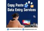 Best Copy Paste Data Entry Services in India