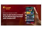 Get Online Cricket ID via WhatsApp Number from Golden444