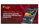 5 Steps to Get Online Casino Betting ID via WhatsApp Number from Golden444