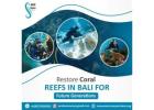 Restore Coral Reefs in Bali for Future Generations