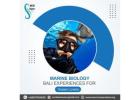 Marine Biology Bali Experiences for Ocean Lovers