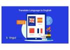 Linguidoor provides comprehensive translation services