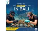 Hands-On Coral Restoration Projects in Bali