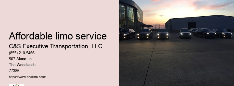 Black car service Houston Texas