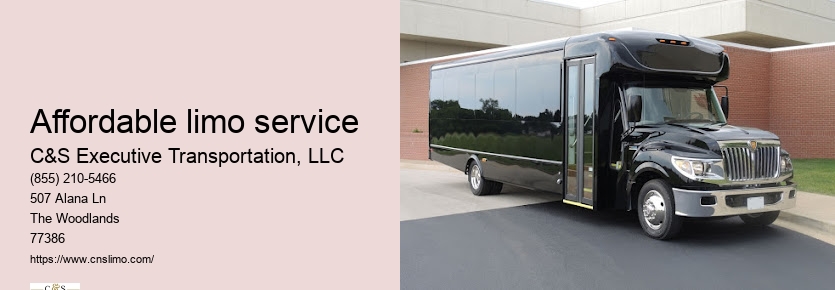 Best black car service Houston