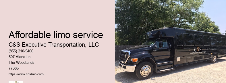Houston black car service