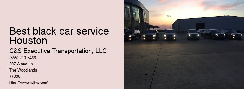 Luxury car service