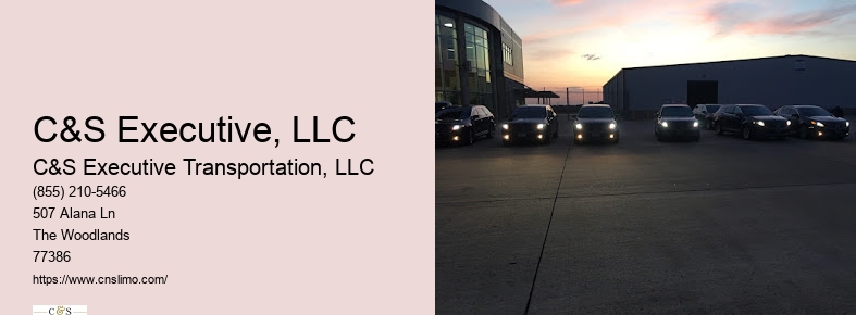 Luxury limo rental