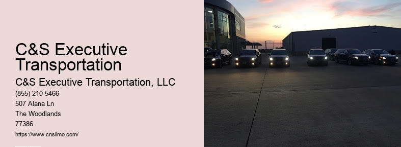 Chauffeur service Houston