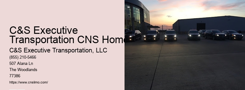 Premium limo rental