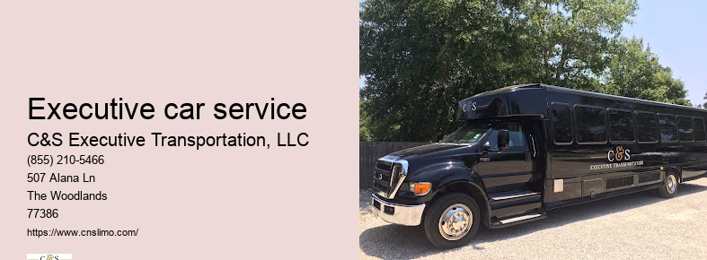 Best black car service Houston