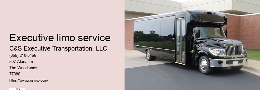 Black car service Houston TX