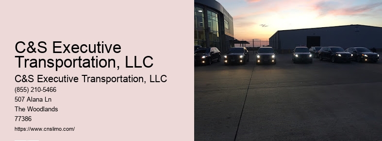 Houston limousine service airport