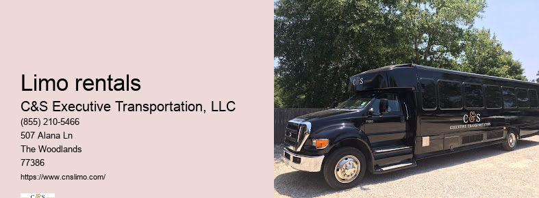 Executive chauffeur service Houston