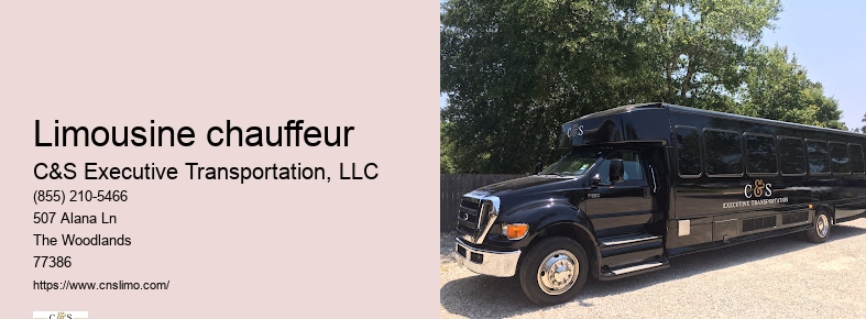 Limousine service