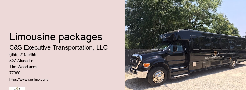 Special event limo rental