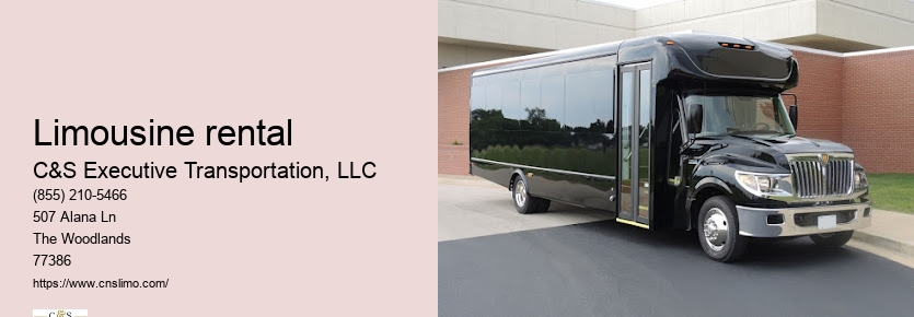 Bachelor party limo