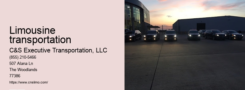 Corporate limo service