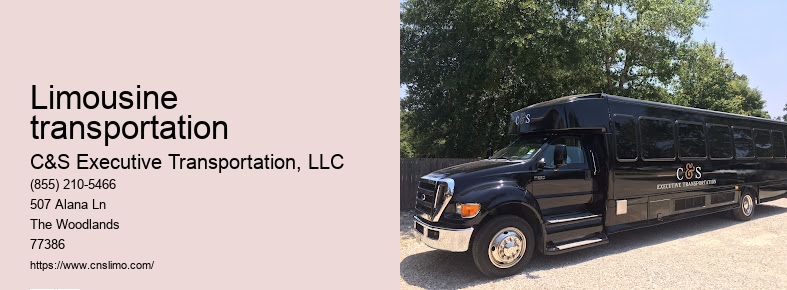 Luxury car service