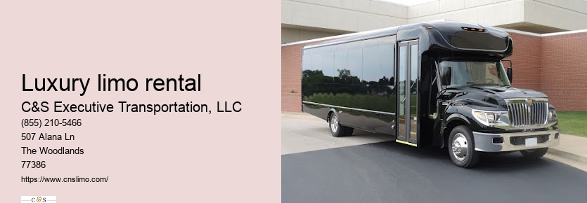 Chauffeur service in Houston