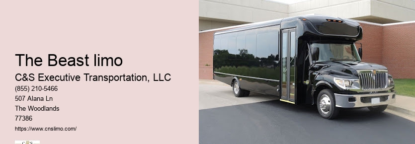 Limousine Houston
