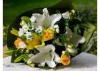 Trending Thank You Gifts to Show Gratitude in Style