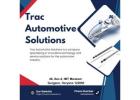 Gas Struts