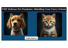 EMF Defense Pet Pendants: Shielding Your Furry Friend, The Ultimate Guide