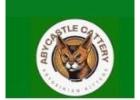 Abyssinian Breeders