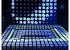 Lazulite’s Kinetic DNA Visuals Redefine GCC Showcases