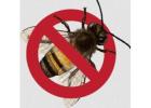 Pest Control Penrith | Bug Free Pest Control