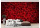 Minimalist Flowers Wallpaper for Clean Interior Looks