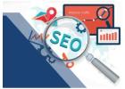 Experience The Best Seo Company In Dubai With Us