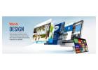 We Provide Web Development Services in Dubai