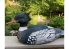 Top-Rated Mallard Duck Decoys Every Hunter Needs