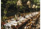 Avoid costly miscalculations with customized solutions from Wedding Planner in Decatur