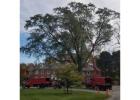 Crawford Tree & Landscape Services, Inc.