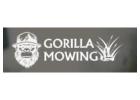cheap lawn mowing services auckland​--Gorilla Mowing