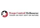 wasp removal Melbourne