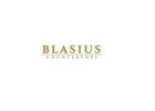 Blasius Inc