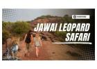 Jawai Leopard Safari
