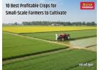 Boost Your Farm Yield with the Best Tractors for Small-Scale Crops