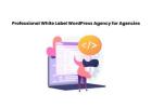 Professional White Label WordPress Agency for Agencies